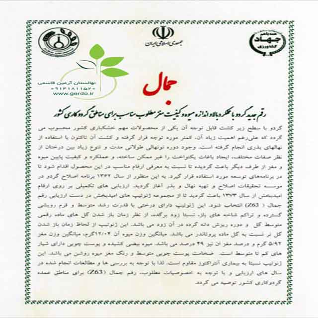 تصاویر نهال گردو رقم جمال 