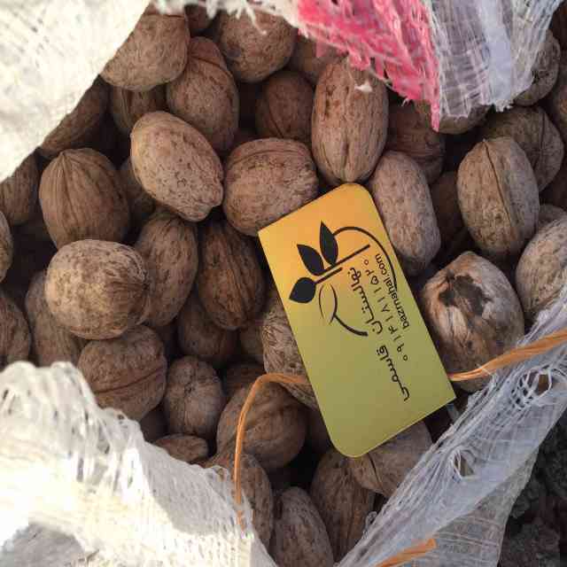 تصاویر بذر گردو خوشه ای 