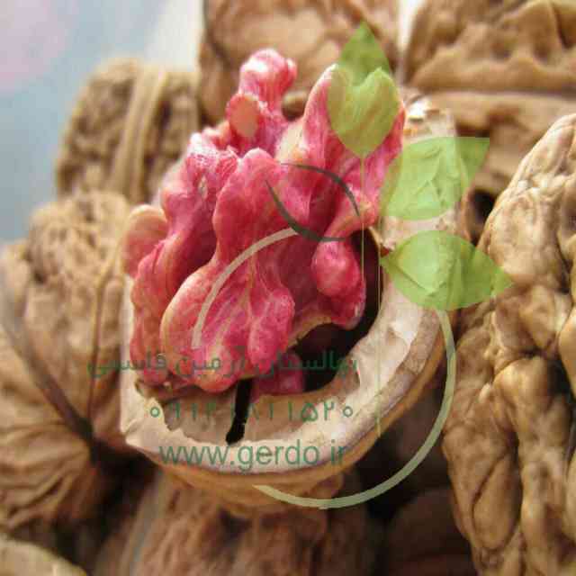 تصاویر نهال گردو تو سرخ پیوندی 