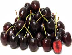 نهال گیلاس سیاه