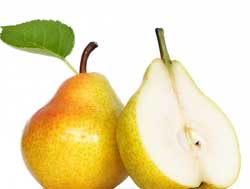 نهال گلابی بیروتی(بارتلت)