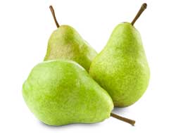 نهال گلابی مشو