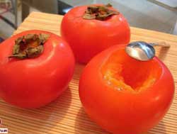 نهال خرمالو سیبی